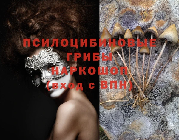 эйфоретик Михайловка